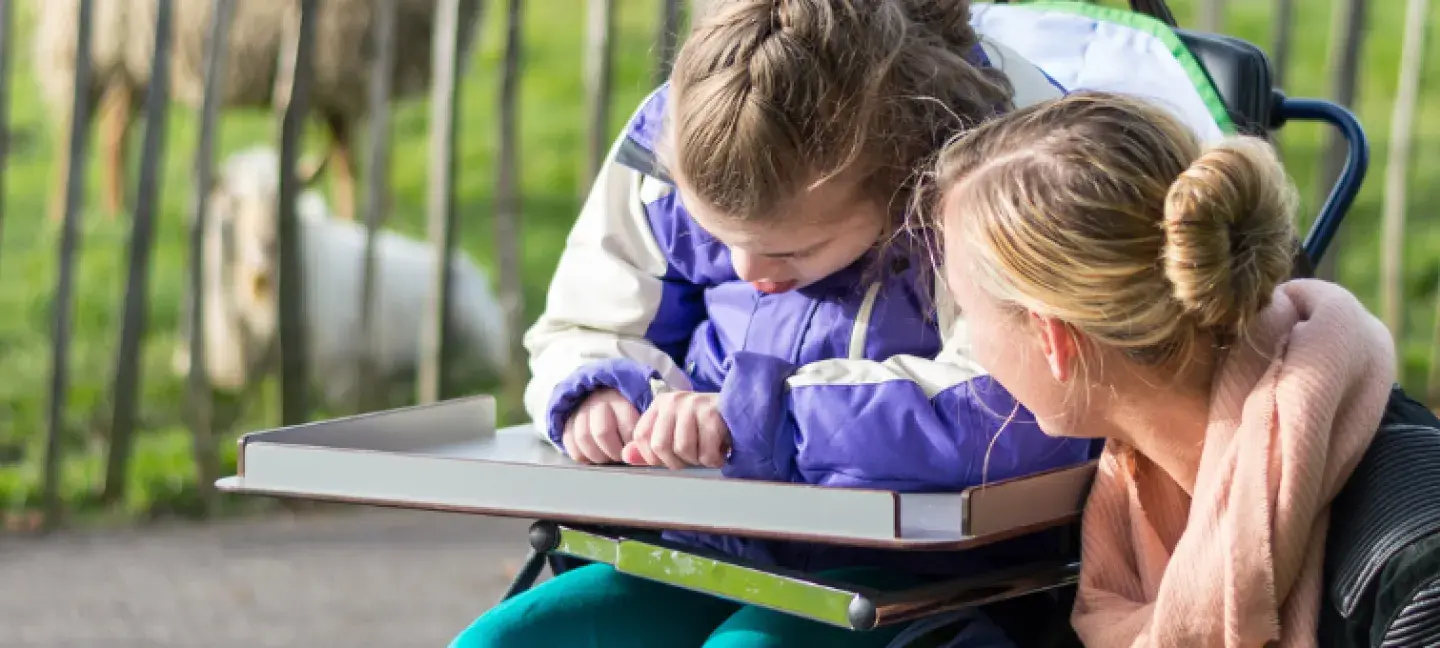 Subsidie voor gehandicaptenorganisaties